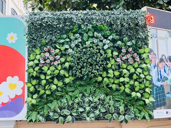 Trang Trí Tường Cây Giả Tại Trường Liên Cấp 35 Mạc Thái Tổ
