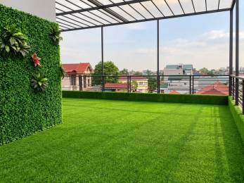 Thảm cỏ nhân tạo DL216 Đậm