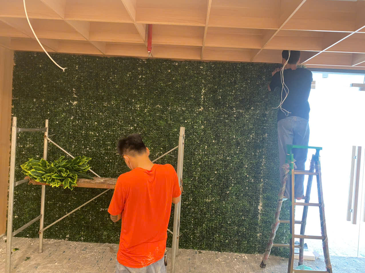 794826764033cc6d95222