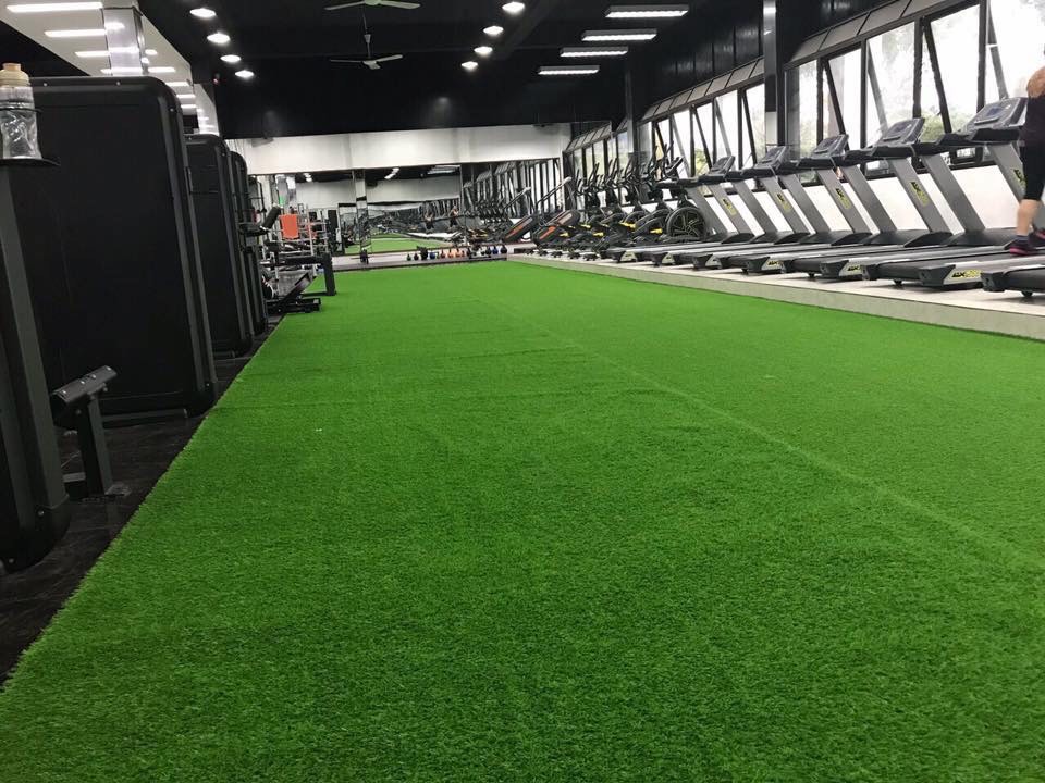 cỏ trải phòng gym